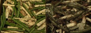 The roasted veggies before and after baking... a minor transformation, yes. But there is beautiful and joyous flavor hidden in this subtlety...